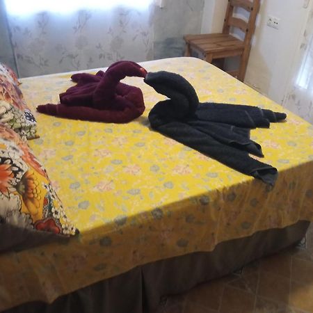 Apartamento Maite グアルダマル・デル・セグラ 部屋 写真